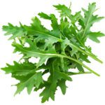 Rocca Leaves Local - Image 2