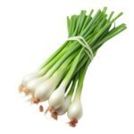 Herbs Spring Onion ,Fresh Spring Onion Supplier ,Dubai |