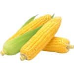 Sweet Corn On The Cob Pkt