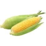 Sweet Corn On The Cob Pkt - Image 3