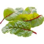 Red Chard – Swiss Chard - Image 2