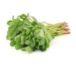 WATERCRESS LEAVES