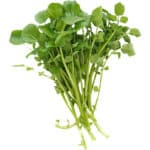 WATERCRESS LEAVES - Image 2