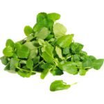 Herbs Water Cress Leaves Dubai