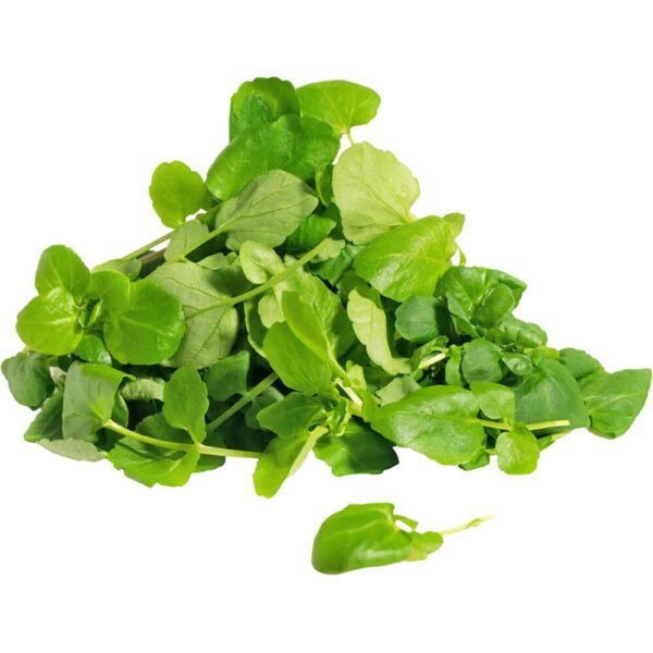 Herbs Water Cress Leaves Dubai
