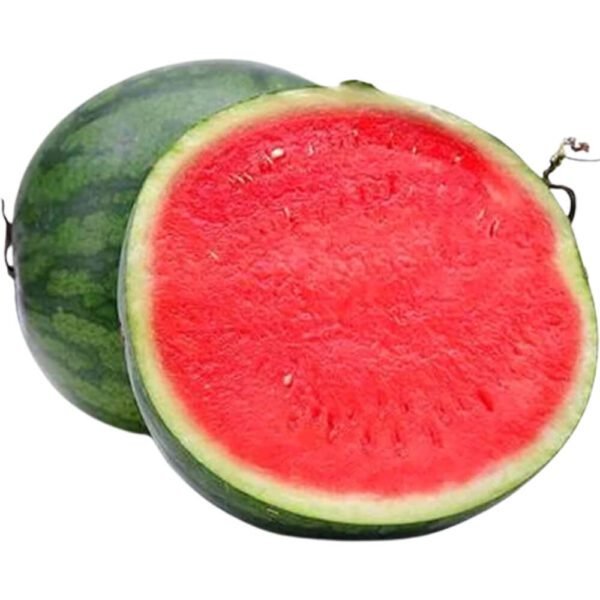 Green Water Melon Dubai | Fresh Premium Watermelon Supplier