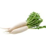 RADISH WHITE LARGE