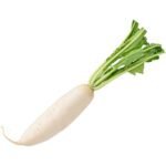 RADISH WHITE LARGE - Image 2