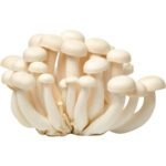 Shimeji White Mushroom Dubai | Fresh Premium Shimeji Mushrooms Supplier