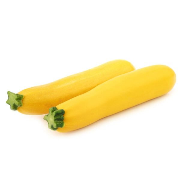 ZUCCHNI YELLOW LONG