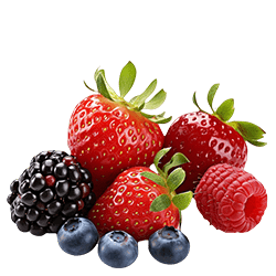 Home Vegetables 12 BERRIES