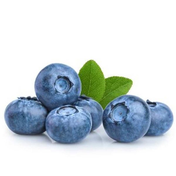 Blueberry Africa