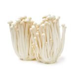 MASHROOM ENOKI