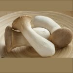 Mushroom King Oyester/ Eyringi - Image 2