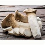 Mushroom King Oyester/ Eyringi - Image 3