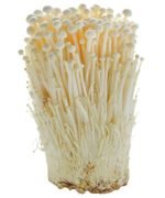 MASHROOM ENOKI - Image 4