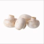 MUSHROOM  BUTTON WHITE