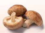 Shiitake Mushroom - Image 2