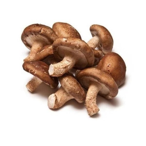Shiitake Mushroom