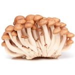 MUSHROOM SHEMIJI BROWN - Image 3