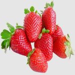 South Africa Strawberry