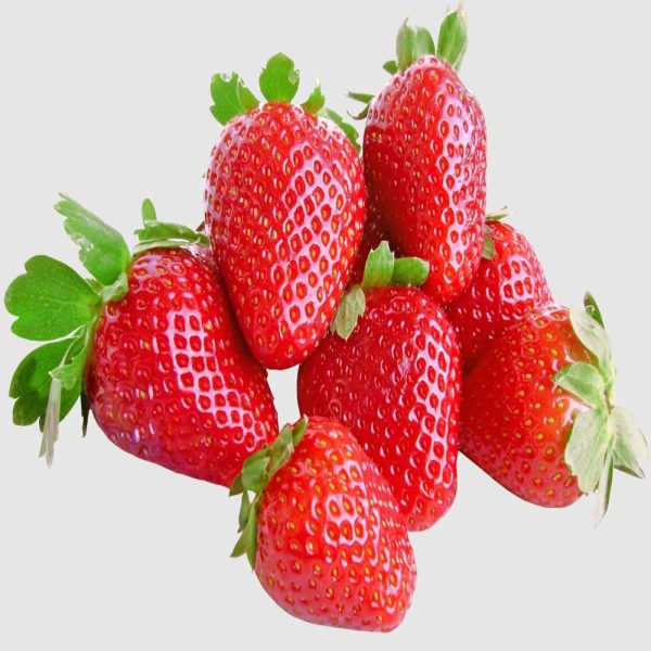 South Africa Strawberry