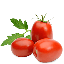 Home Vegetables 13 TOMATO PNG