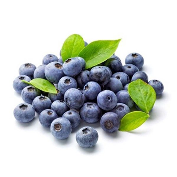 Blueberry USA