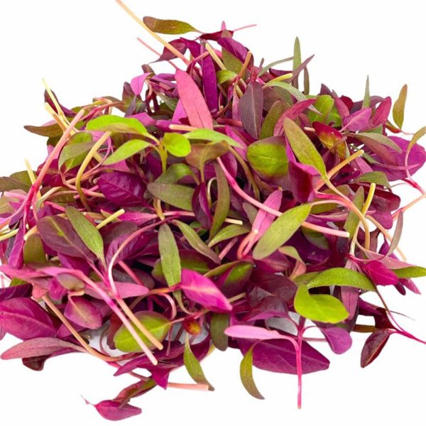 Fresh Amaranth Cress