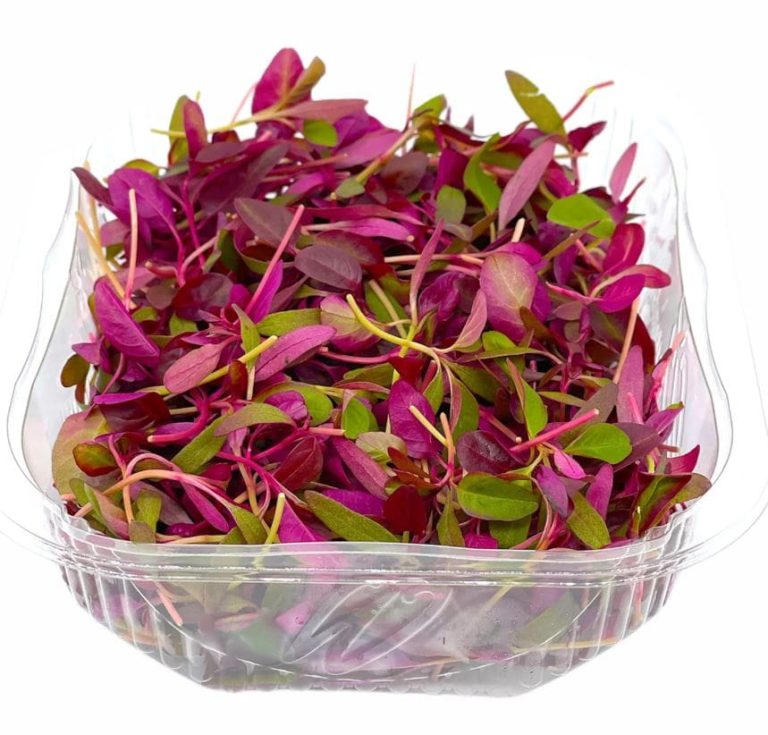 Home Vegetables 94 amarnath 2