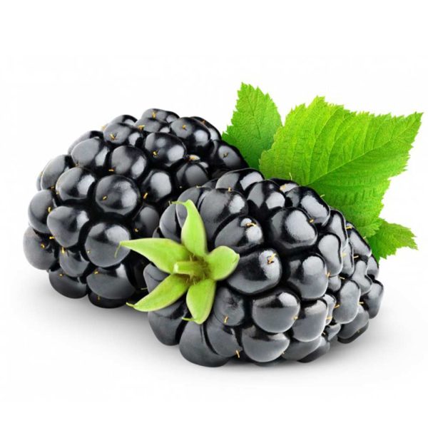 Blackberry Africa