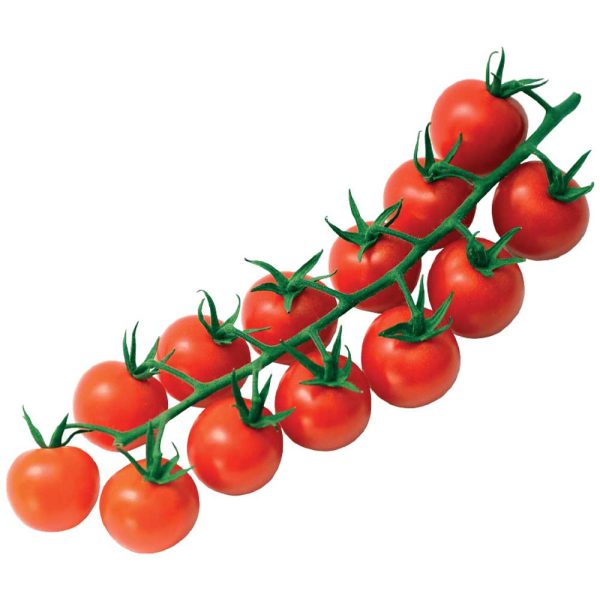 Tomato Cherry Plum