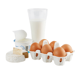 Home Vegetables 5 dairy