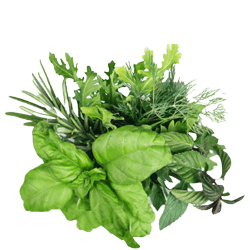 Home Vegetables 3 huhh