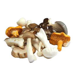 Home Vegetables 6 mashroom