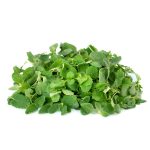 Micro Mint Cress