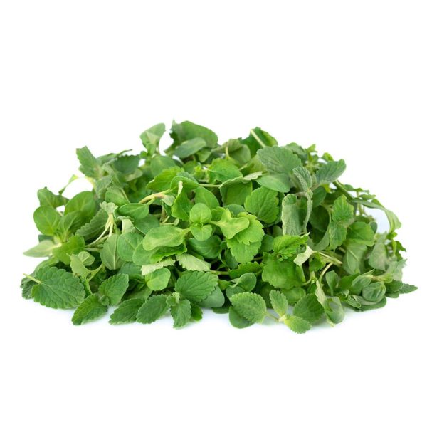 Micro Mint Cress