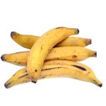 Plantain Banana