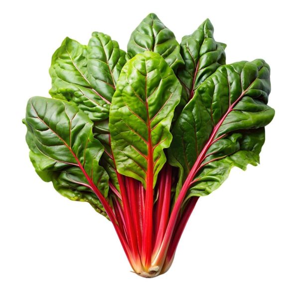 Micro Swiss Chard Cress