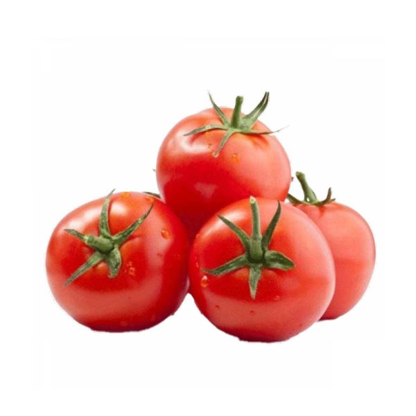 Tomato India