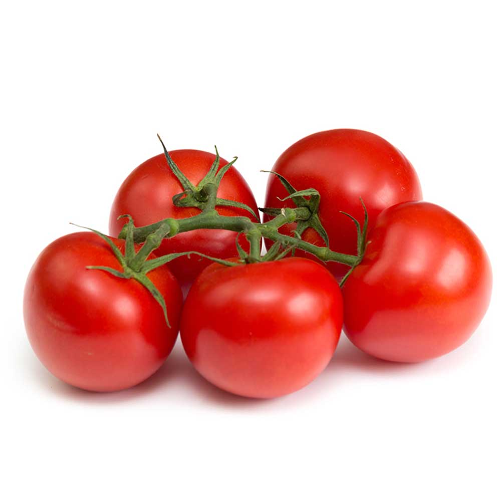 tomato-vine Tomato Vine - Image 1