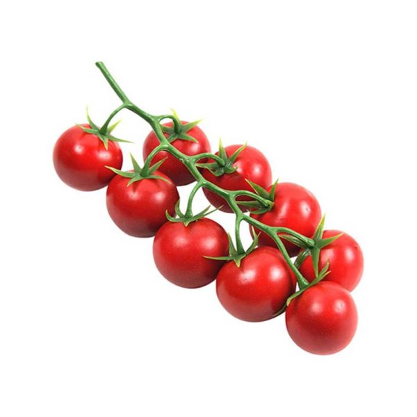 Tomato Cherry Vine