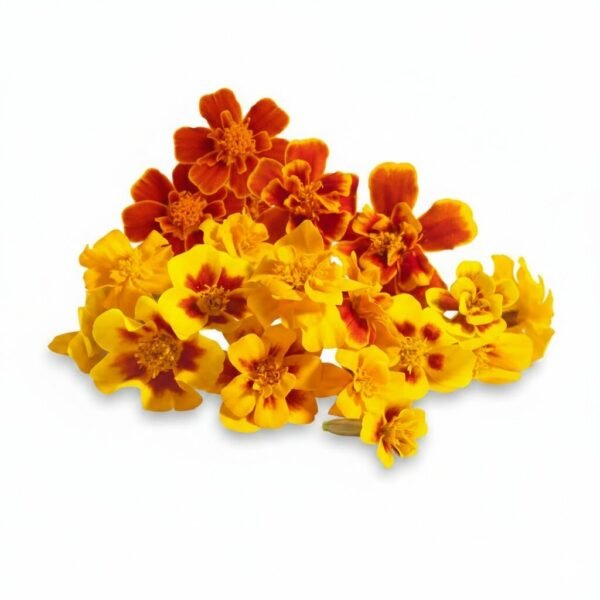 Marigold French Edible Flowers - Fresh Focus Foodstuff UAE