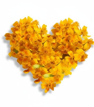 Marigold Gem Edible Flowers - Fresh Focus Foodstuff UAE