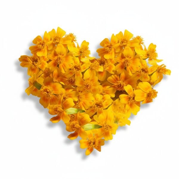 Marigold Gem Edible Flowers - Fresh Focus Foodstuff UAE