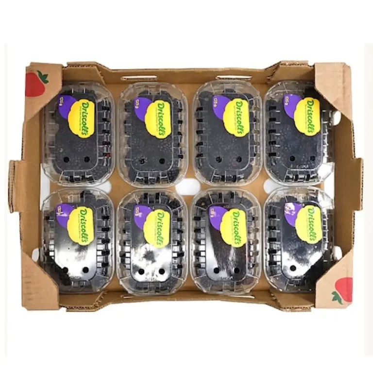 Blackberry Box