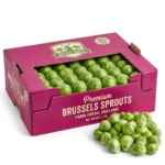 Buy Brussels Sprouts Holland in Dubai | Fresh Vegetable Supplier UAE