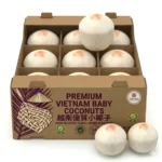 Vietnam Coconut Box Dubai | Buy Fresh Coconut Online Dubai