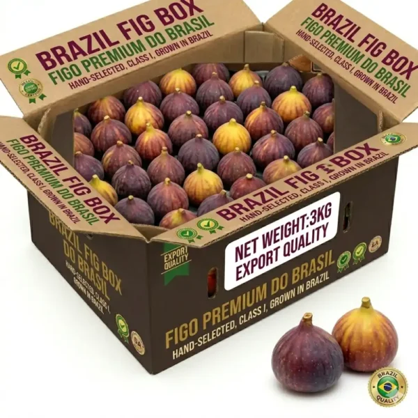 Fresh Fig Box 1kg – Premium Figs Dubai