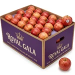Royal Gala Apples Box Dubai | Buy Fresh Apples Online